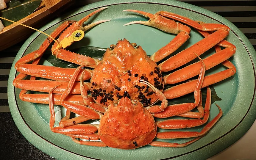Boiled Echizen snow crab with its yellow port tag
