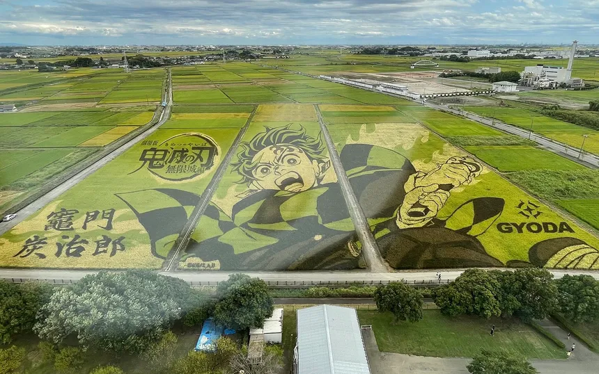 The 2025 rice paddy art in Gyoda, a portrait of Tanjiro from Demon Slayer, seen from Gyoda Tower
