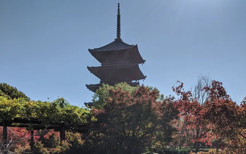 The five-storey pagoda of To-ji above red maples