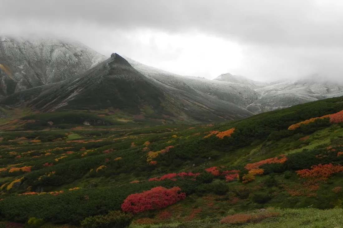 Autumn colour on the Susoaidaira plateau below Asahidake, with the first snow on the ridge
