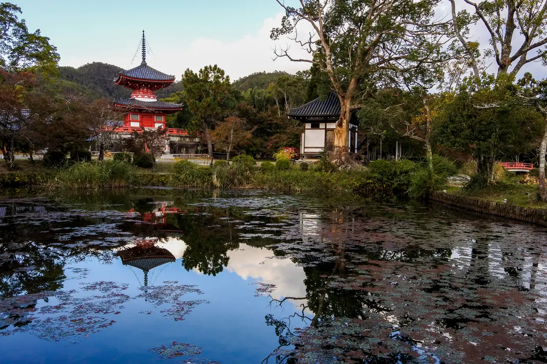 The Shingyo pagoda of Daikaku-ji across the pond in autumn colour
