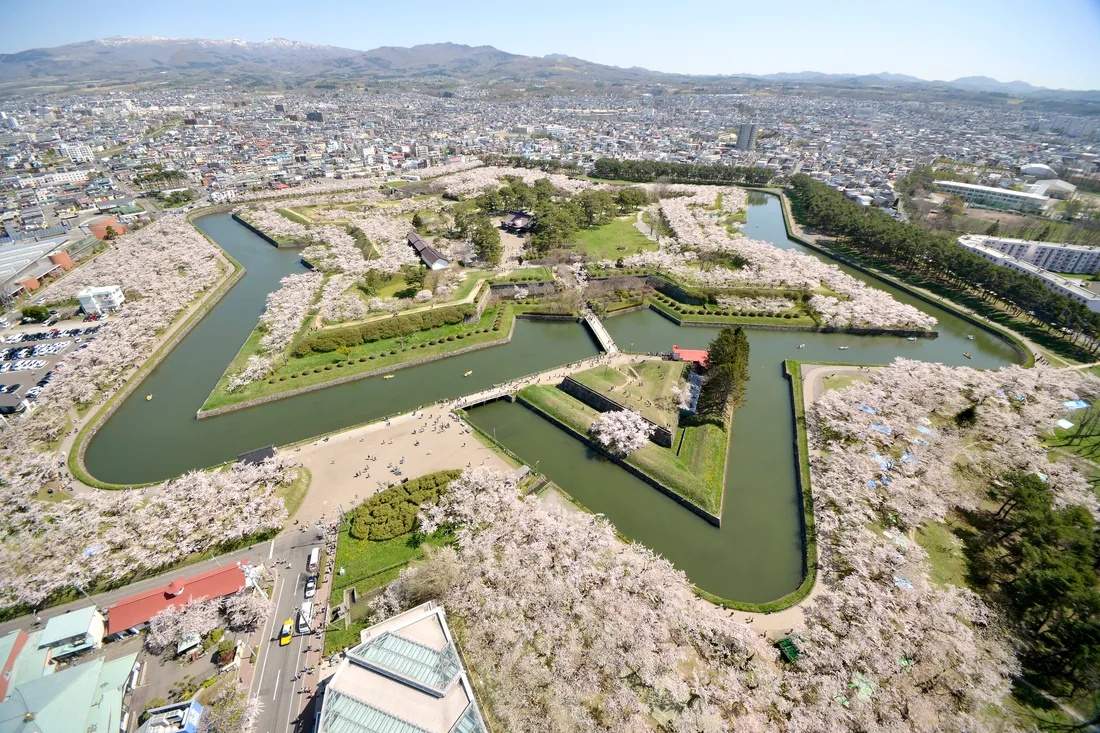 The star fort of Goryokaku ringed with cherry blossom, seen from Goryokaku Tower
