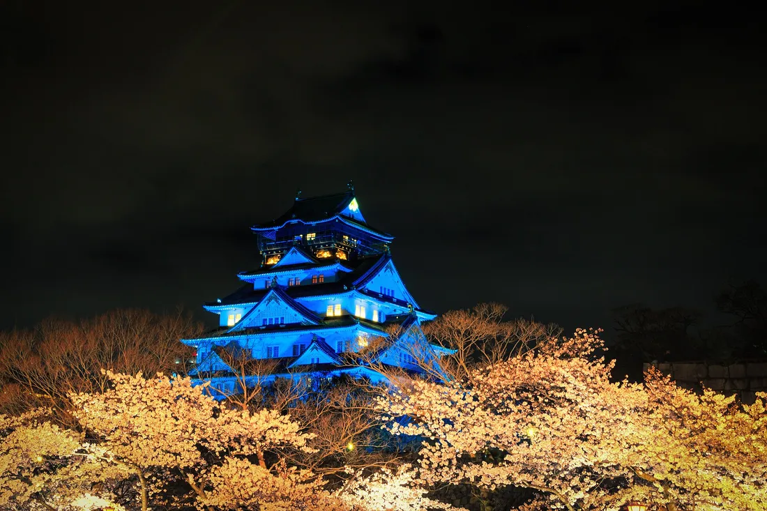 Lit cherry trees at night in the Nishinomaru garden, below the illuminated keep of Osaka Castle