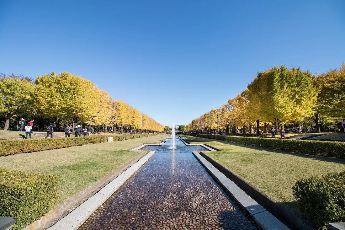 The Canal at Showa Kinen Park between two avenues of yellow ginkgo