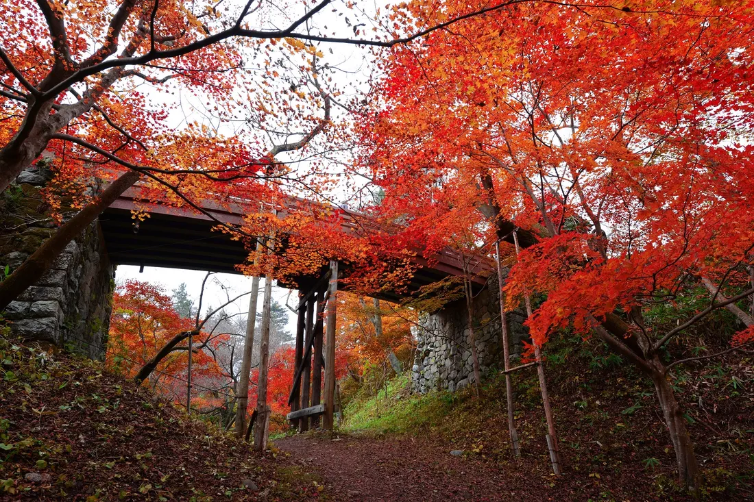A wooden bridge over the dry moat at Takato Castle Park, framed by red maples